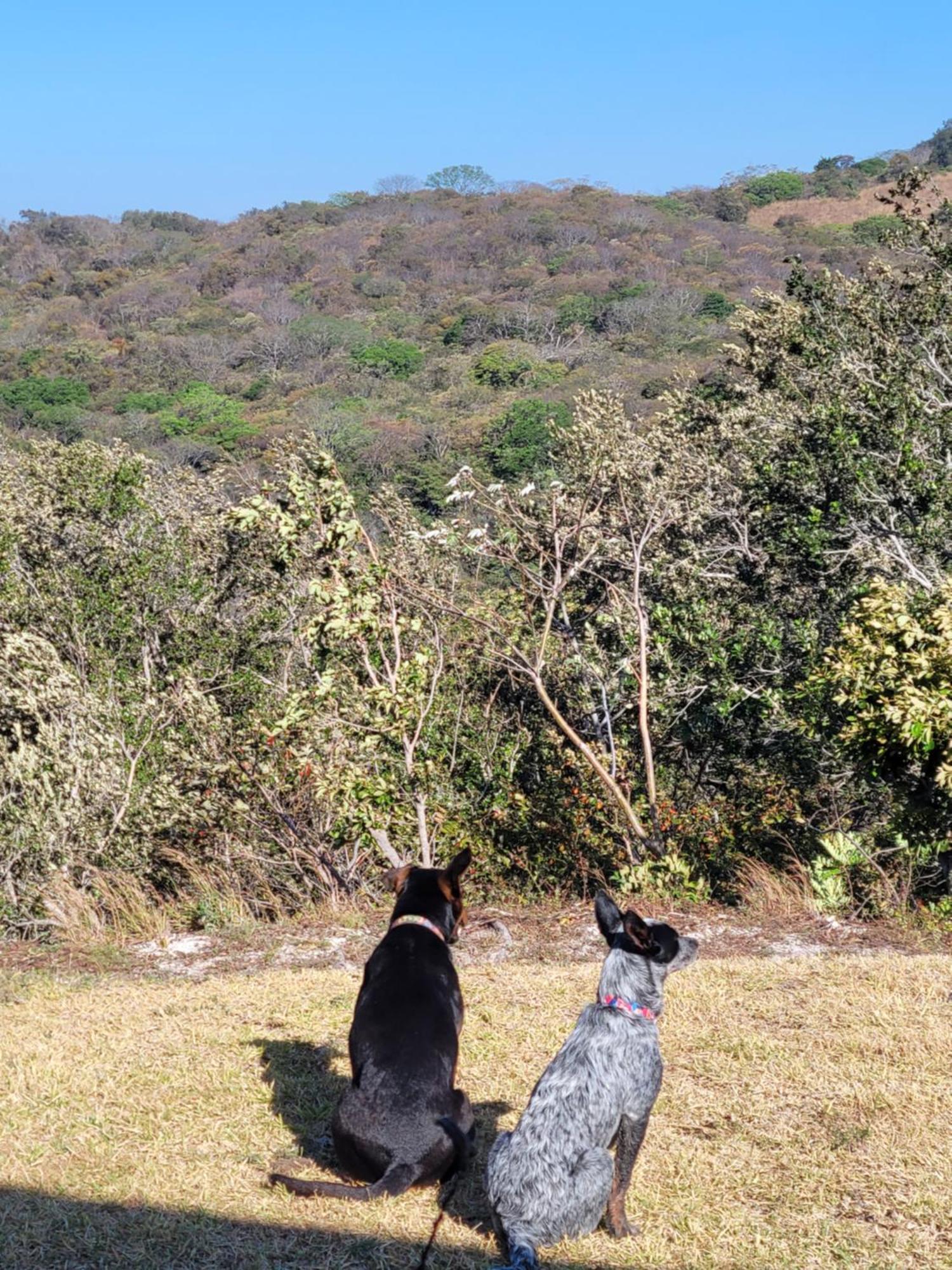 Hacienda En Los Volcanes Guayabos エクステリア 写真