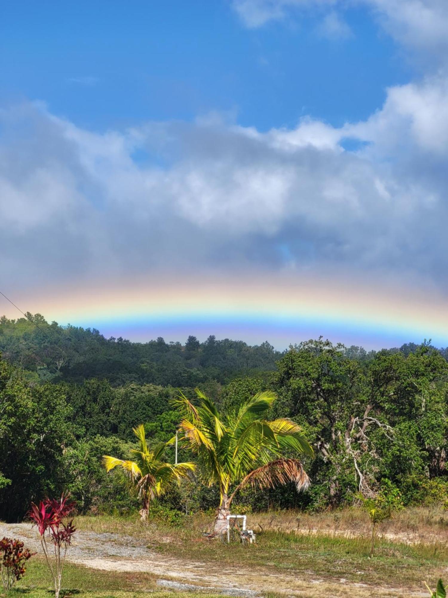 Hacienda En Los Volcanes Guayabos エクステリア 写真
